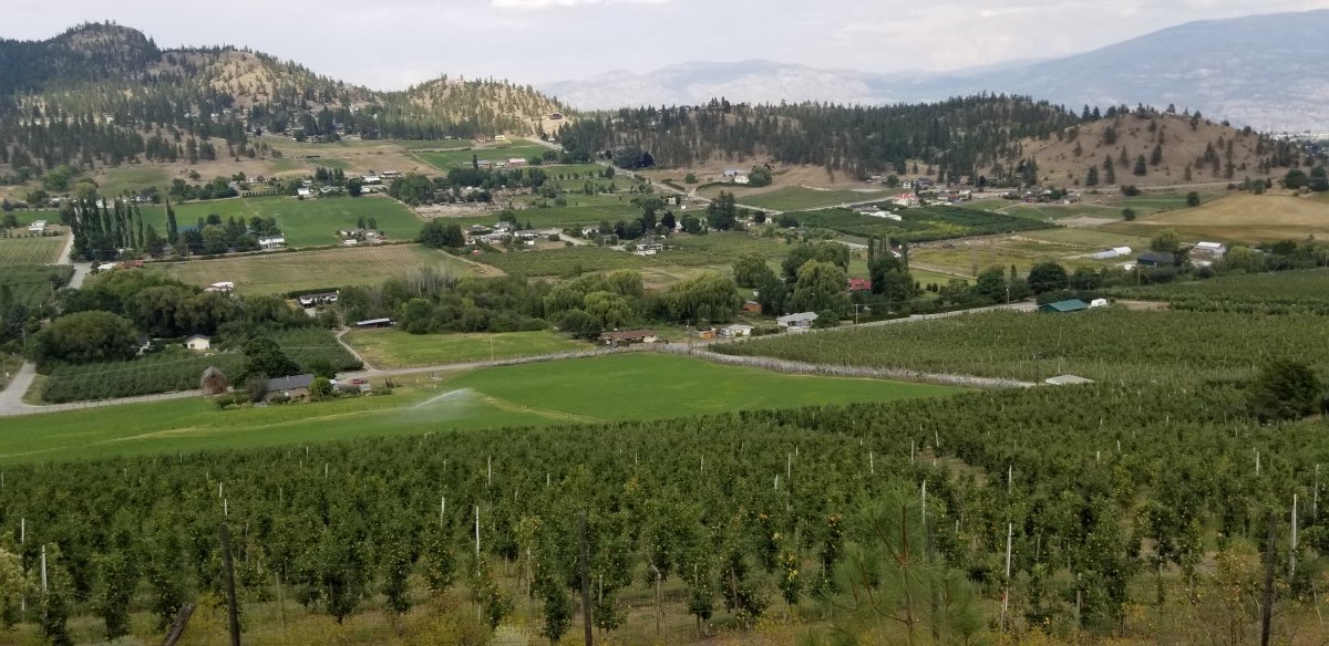 20190810_145444.jpg