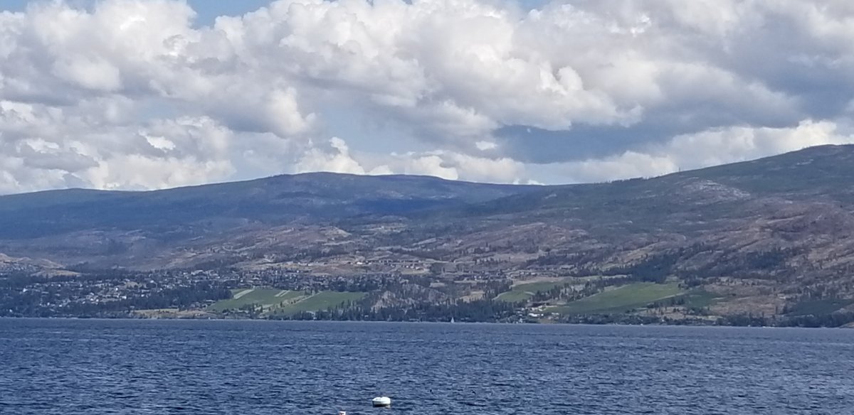 20190812_142328.jpg