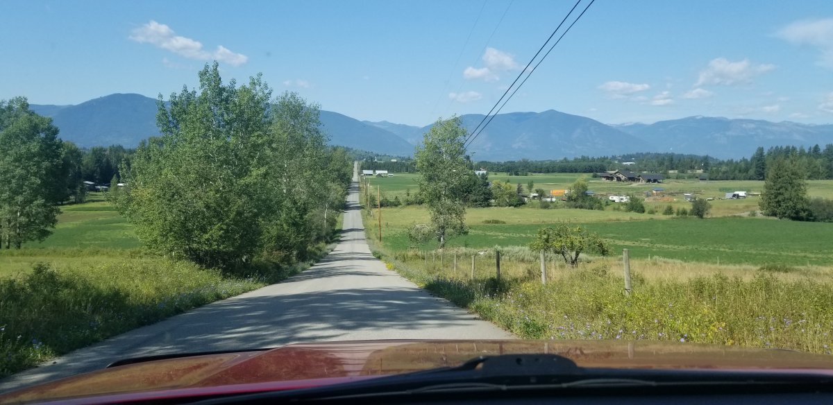 20190815_105256.jpg