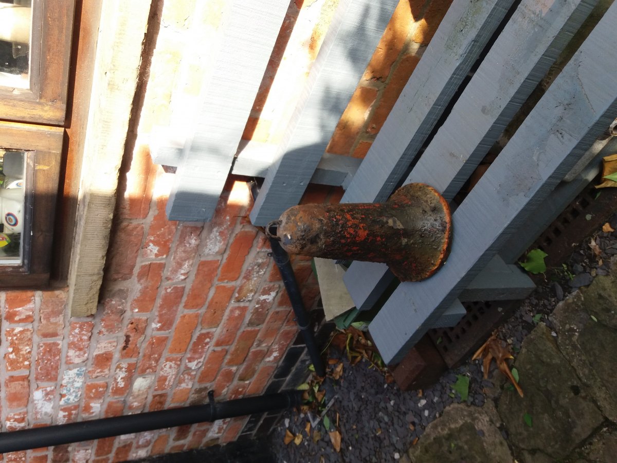 20190815_174202.jpg