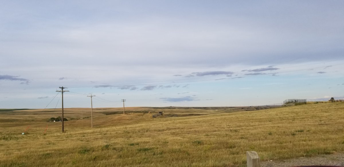 20190817_191048.jpg