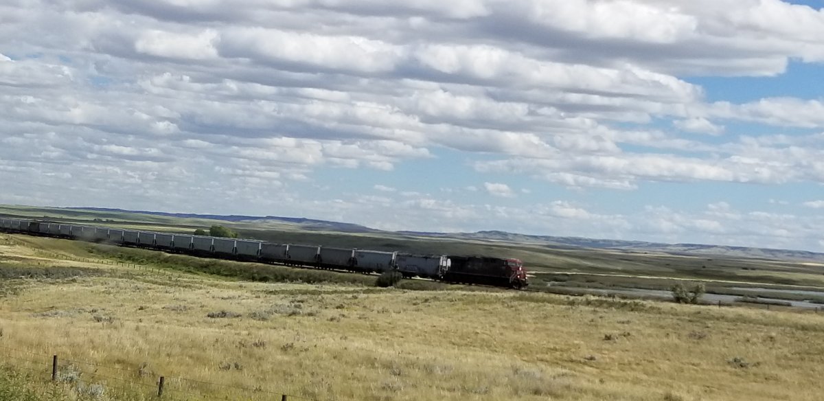 20190818_145914.jpg