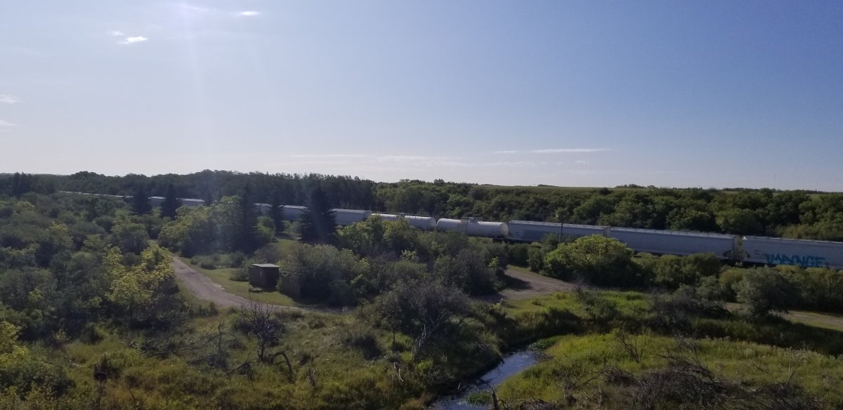 20190819_091713.jpg