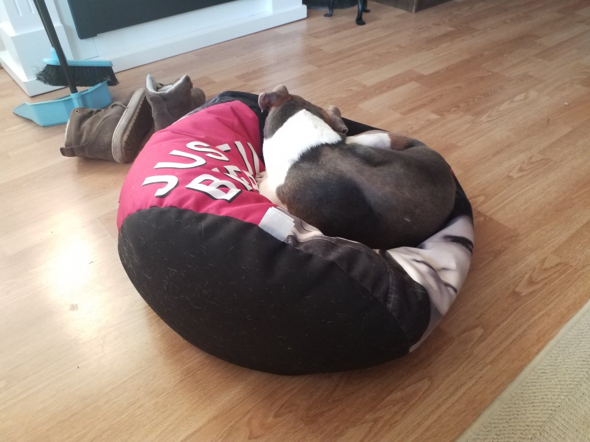 20191129_101045.jpg