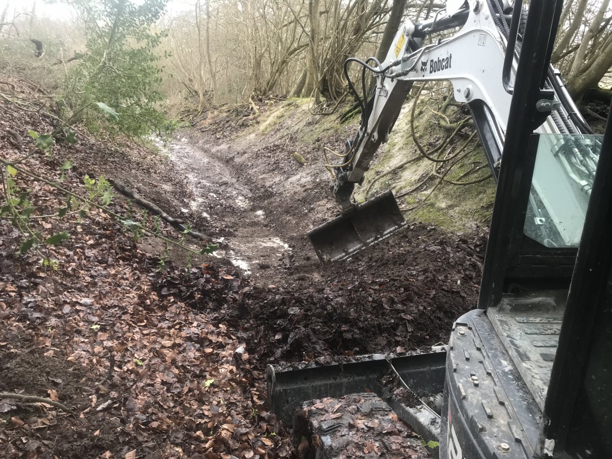 2020-03-08 13.36.39.jpg