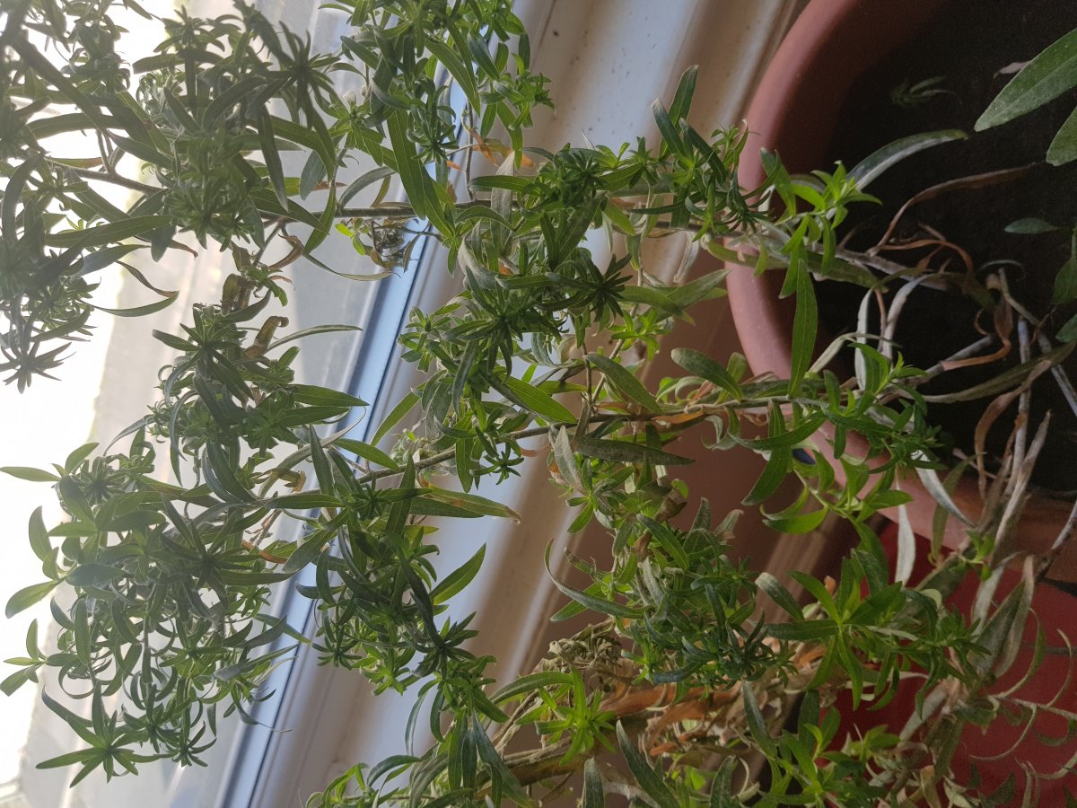 20200916_141213.jpg