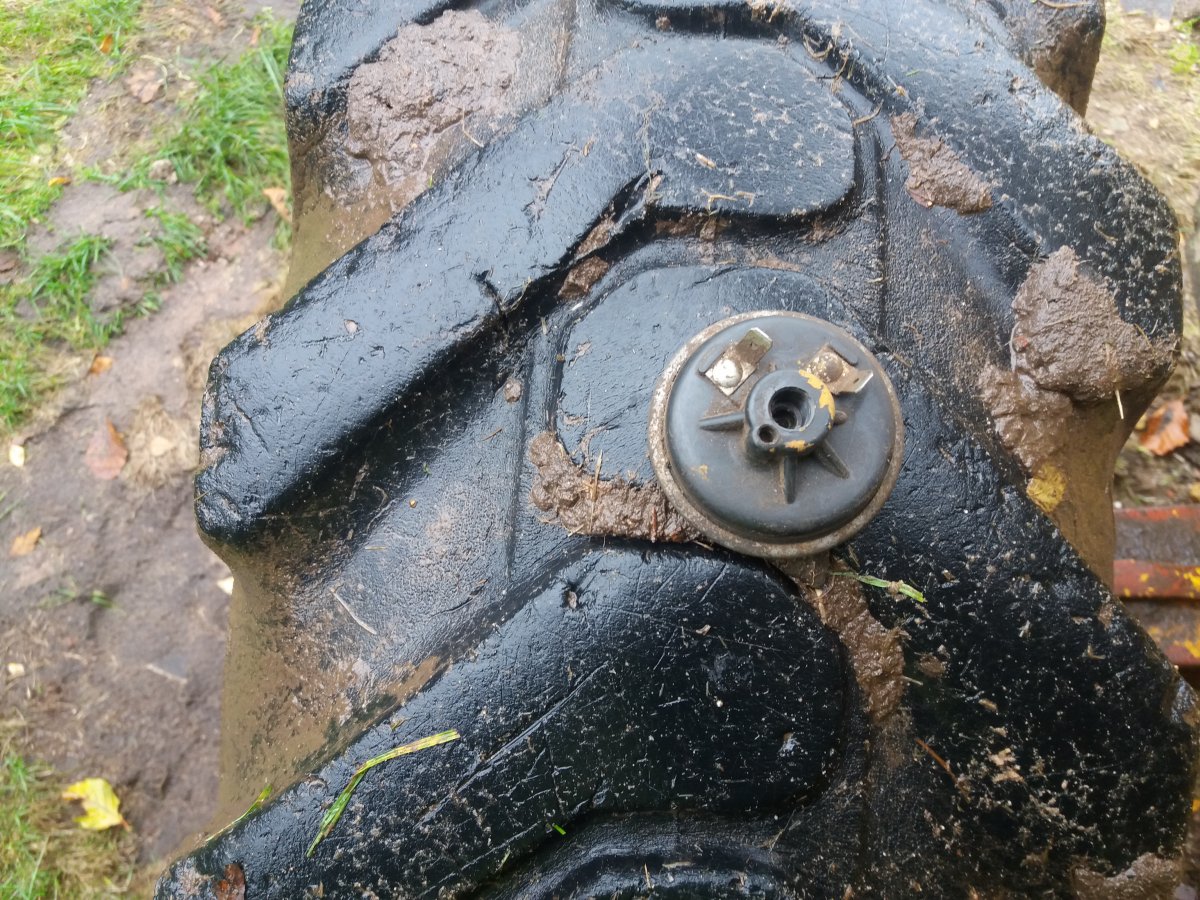 20201005_154155.jpg