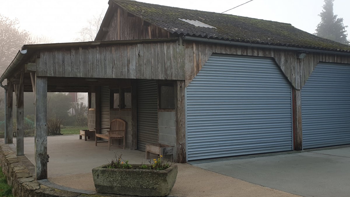 20201128_090249.jpg