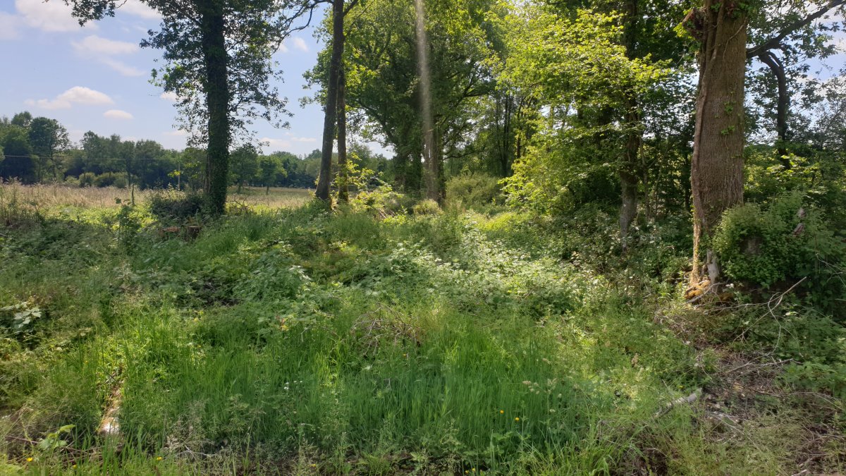 20210615_132048.jpg