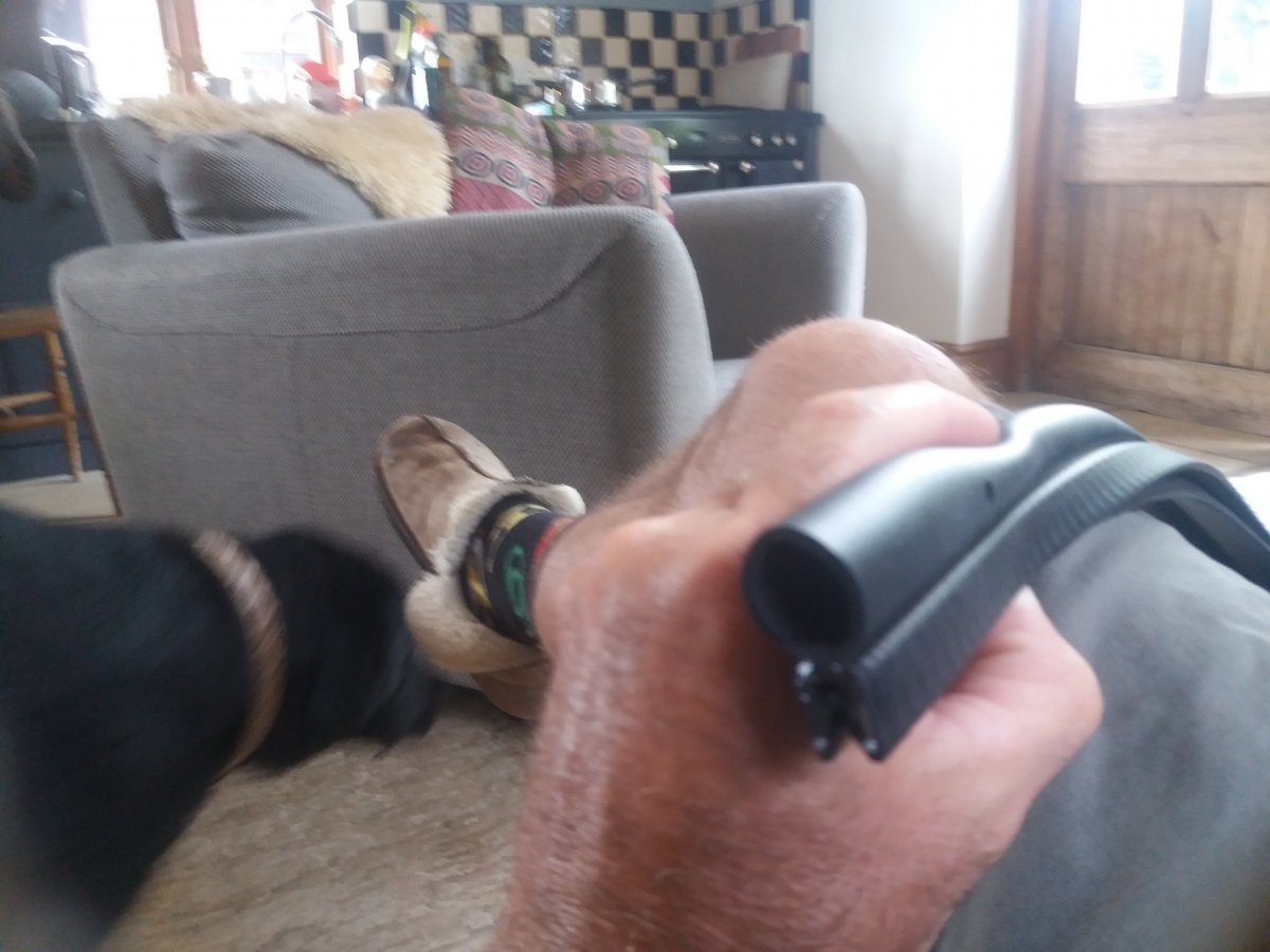 20210617_184458.jpg