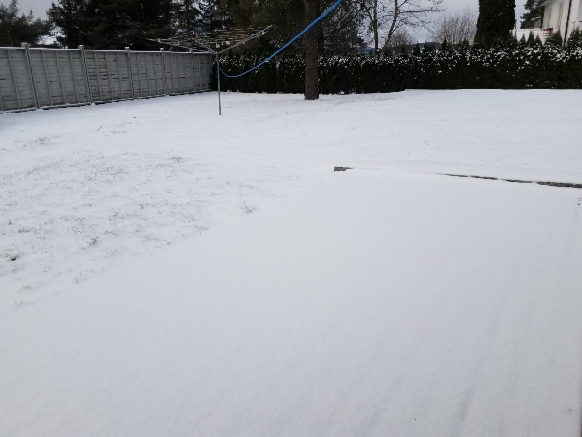 20211128_114104.jpg