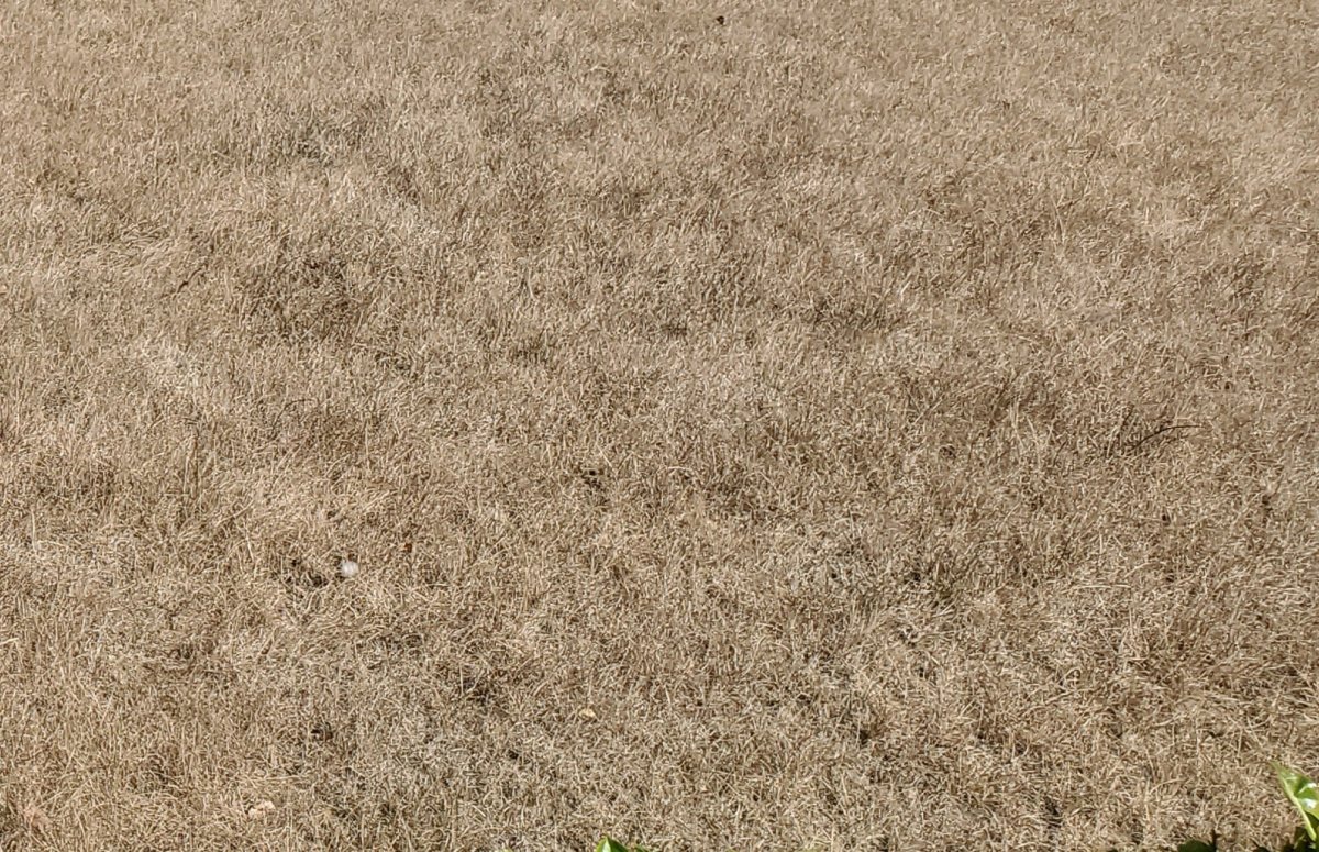 20220730_165234.jpg