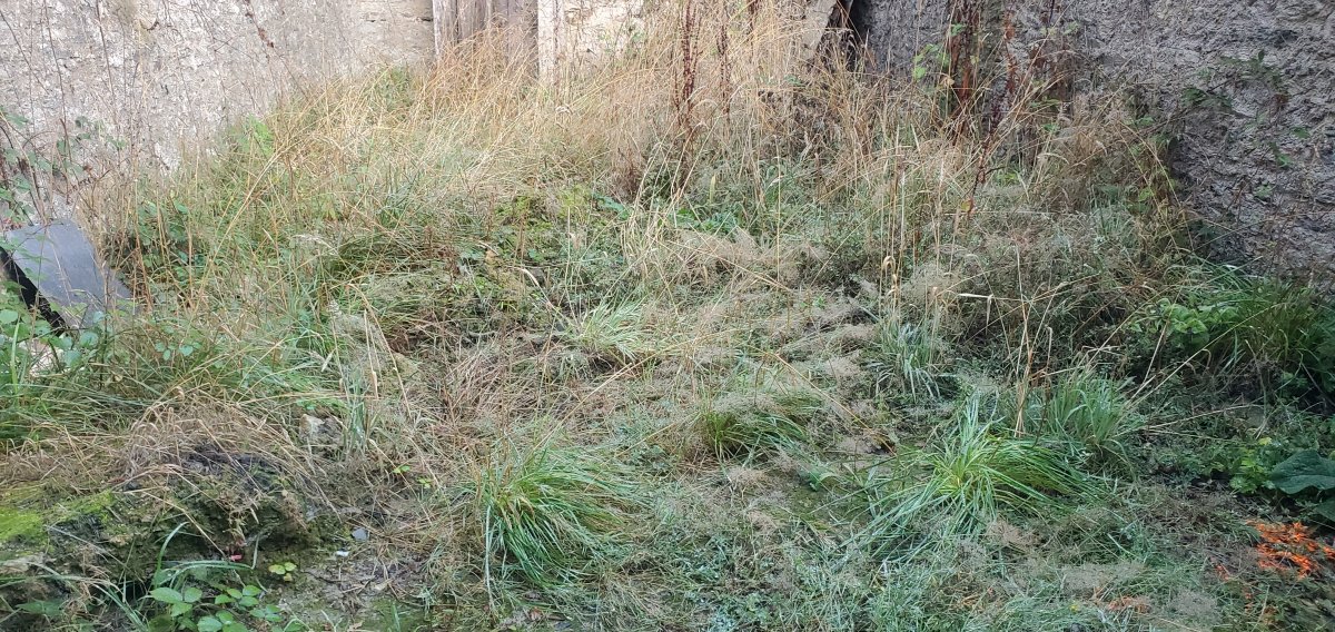 20220822_082706.jpg