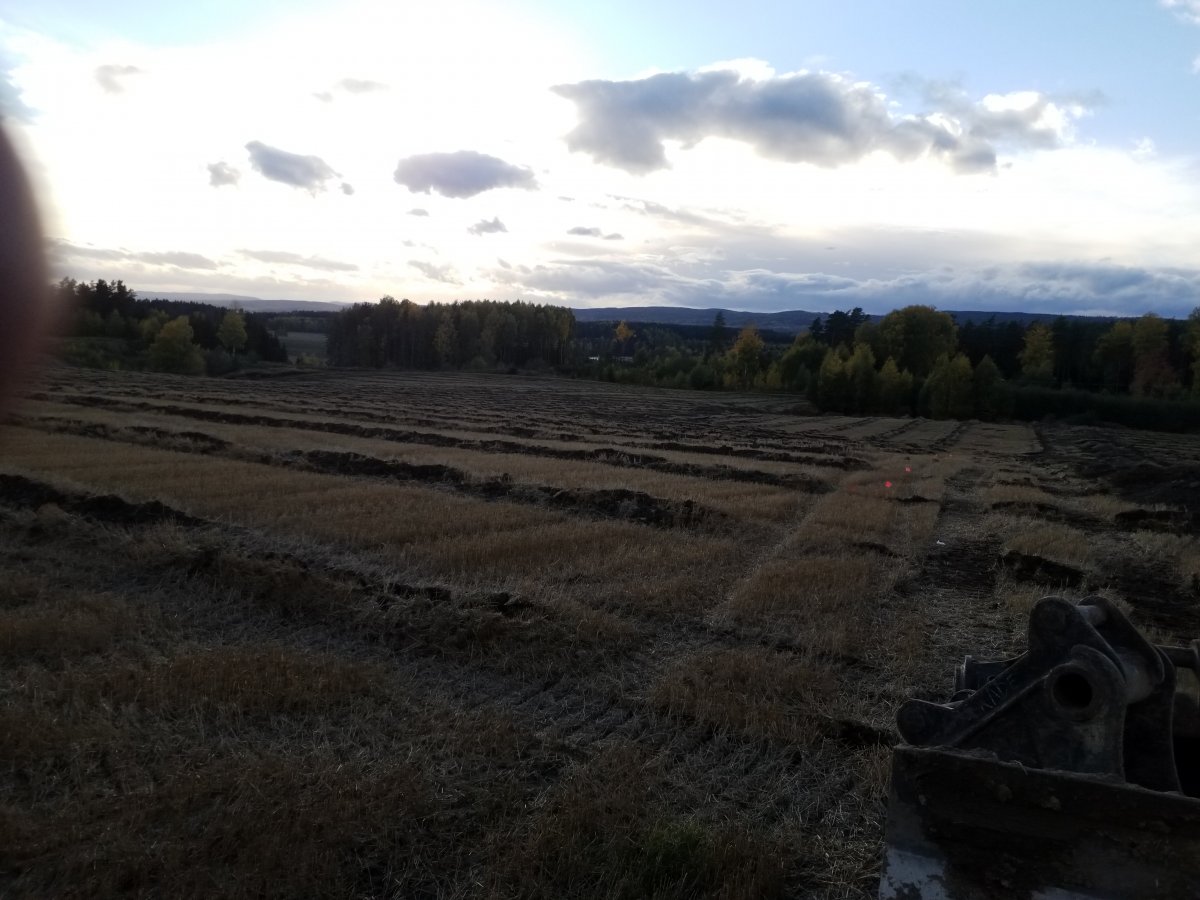 20221006_171725.jpg