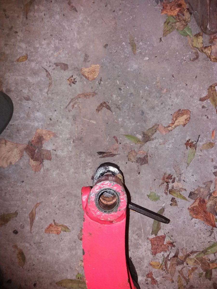 20221104_203018.jpg