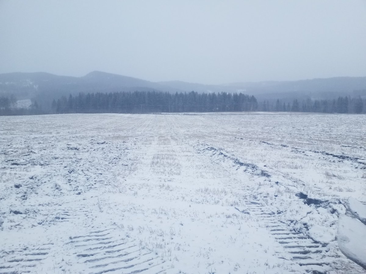 20221208_134353.jpg