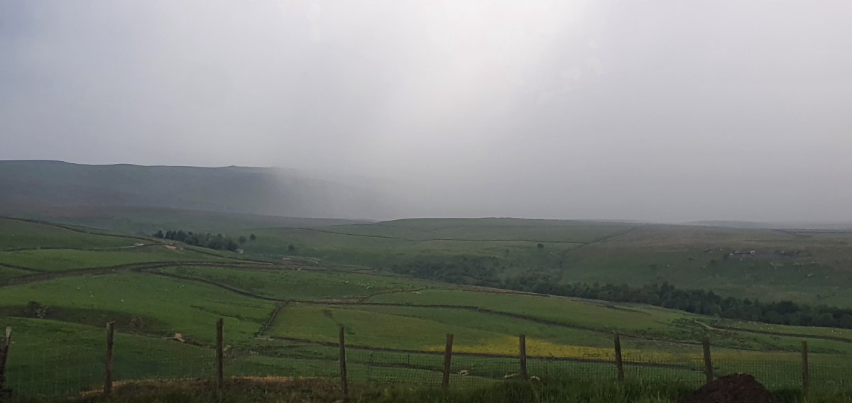 20230611_165520.jpg