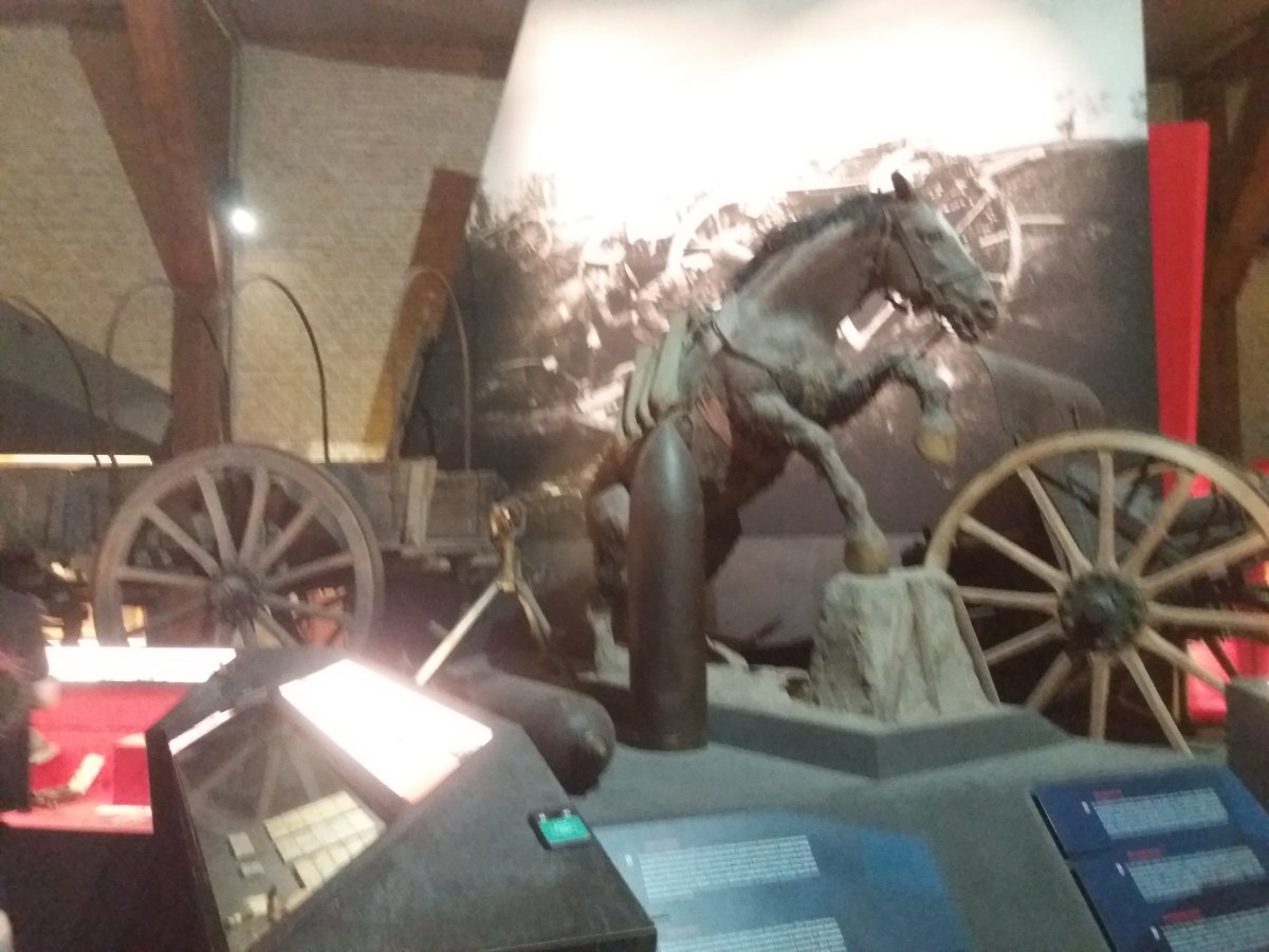 20230911_164843.jpg