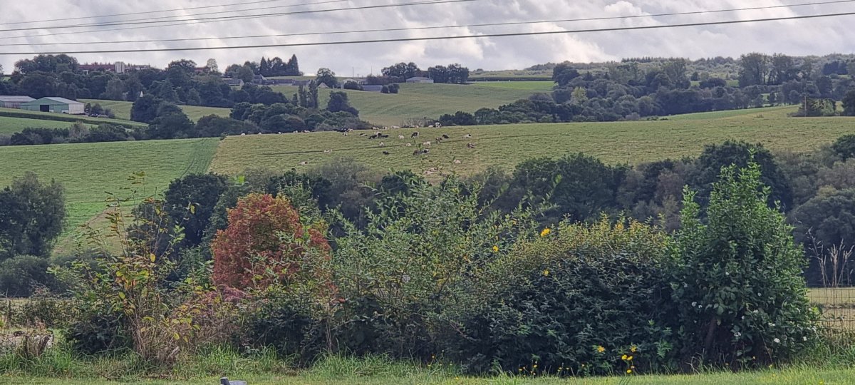 20230921_142403.jpg