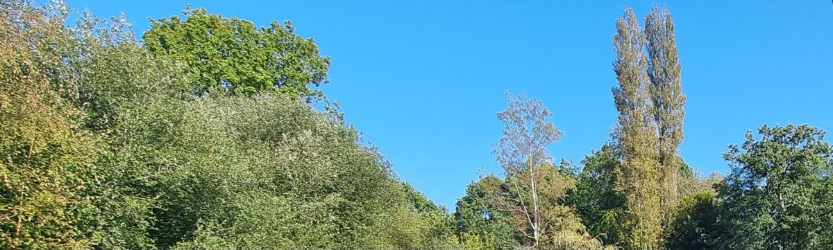 20231006_151128.jpg