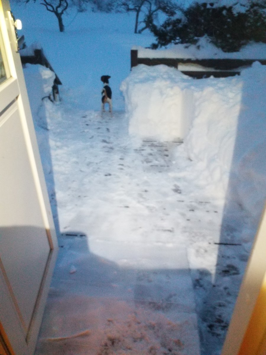 20240101_084100.jpg