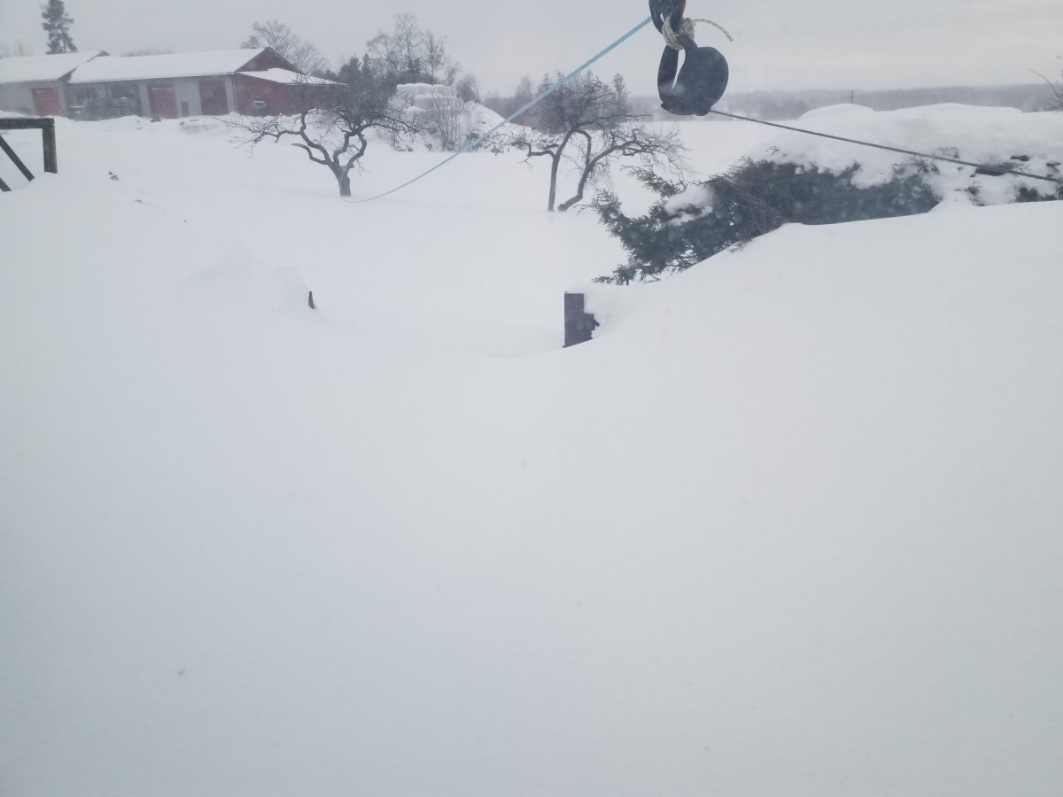 20240117_103055.jpg