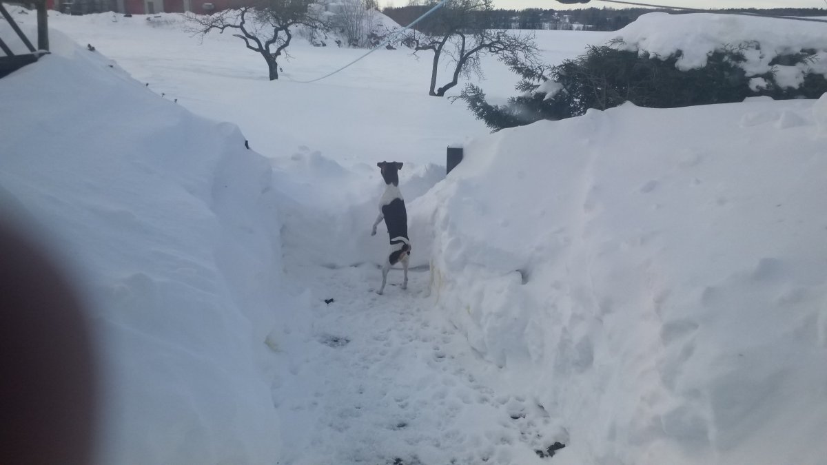 20240119_130243.jpg