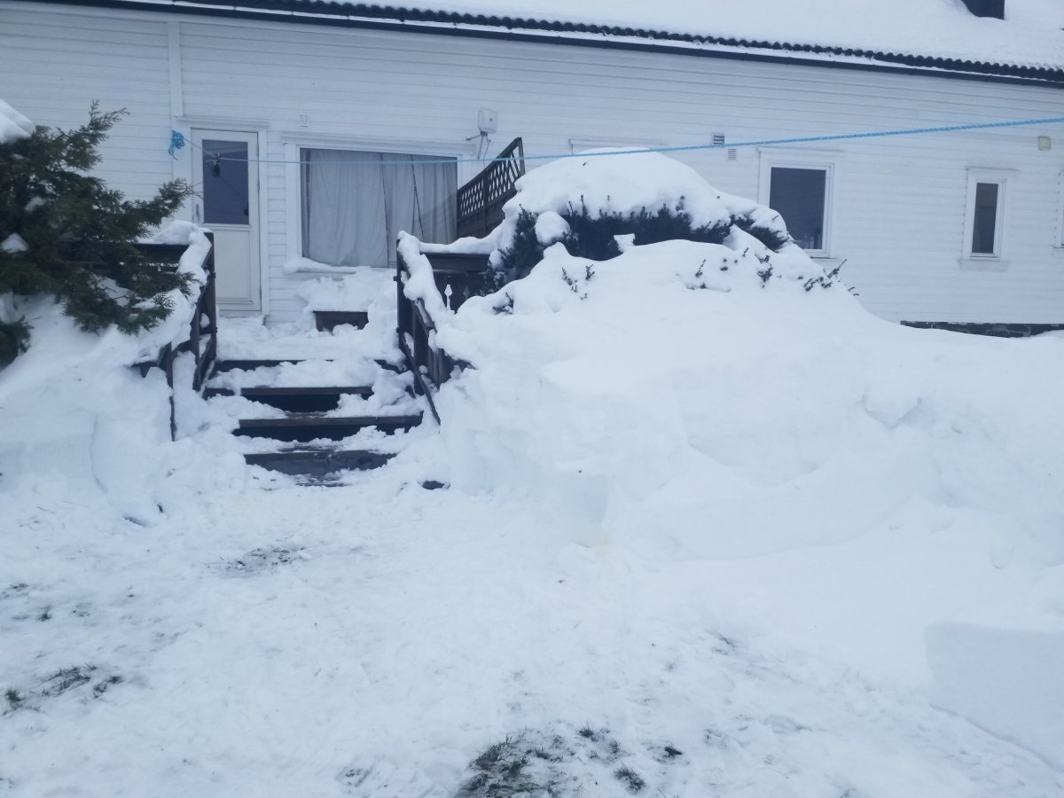 20240121_101120.jpg