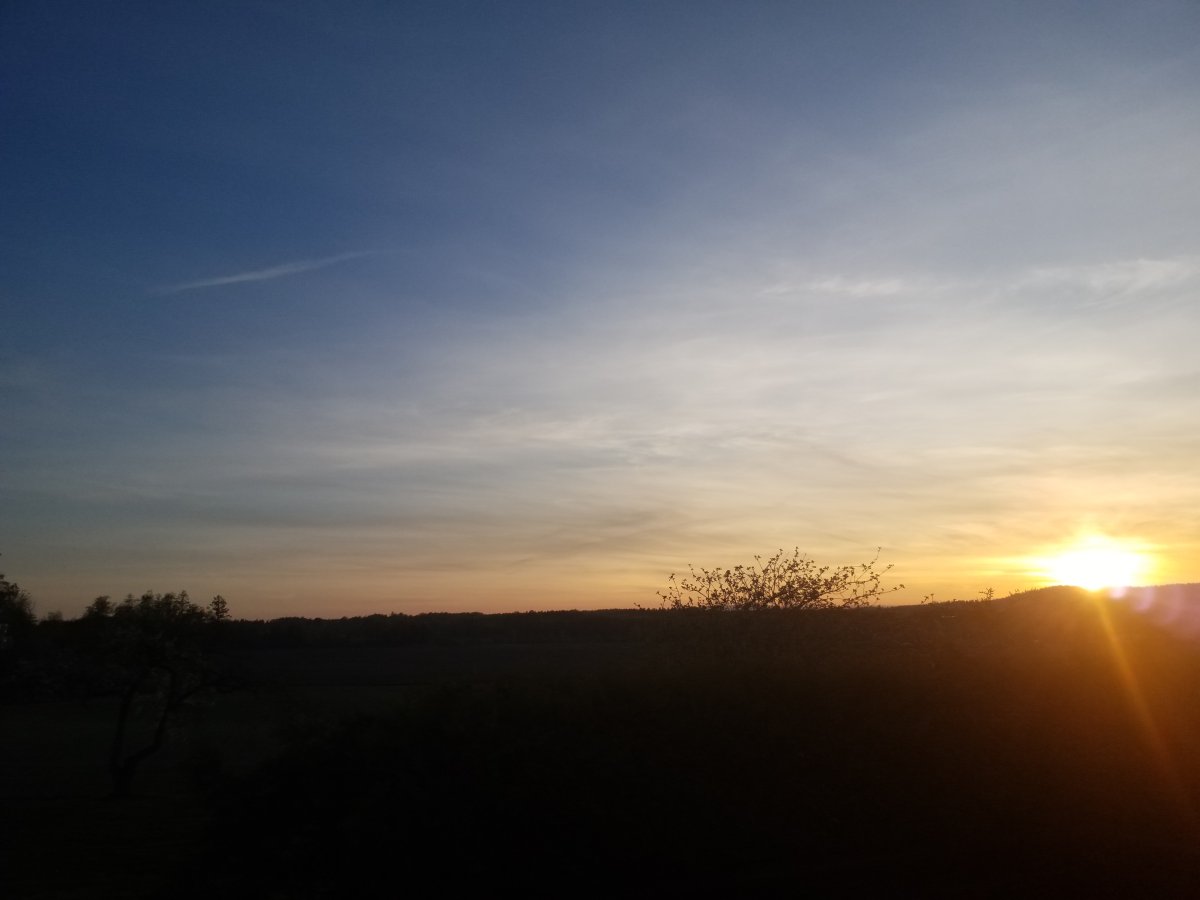 20240512_212028.jpg