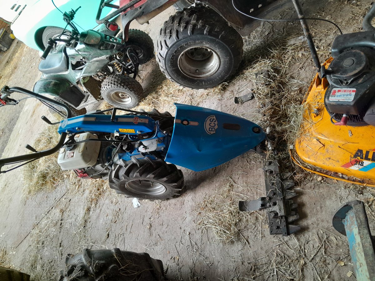 20240924_171314.jpg