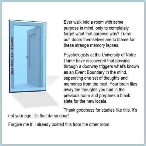 221822569_10158204688195777_8146454800674842967_n.jpg