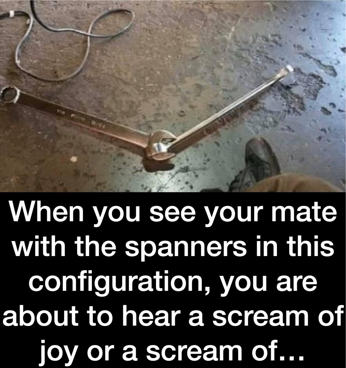 297798183_5679150772095957_4454727029526677067_n.jpg