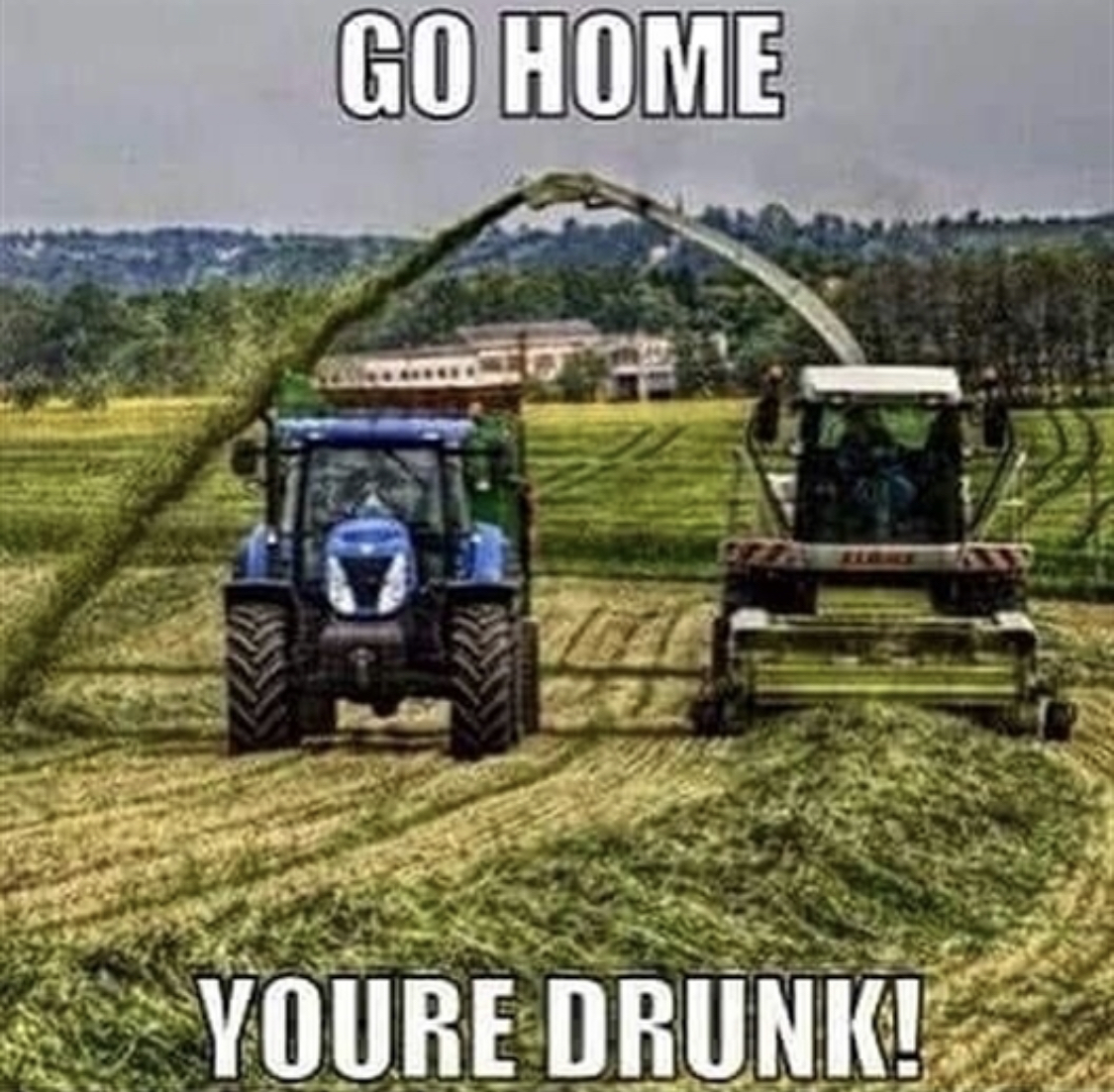 2FA49AAA-69FE-49FD-AF03-67621DECA73A.jpeg