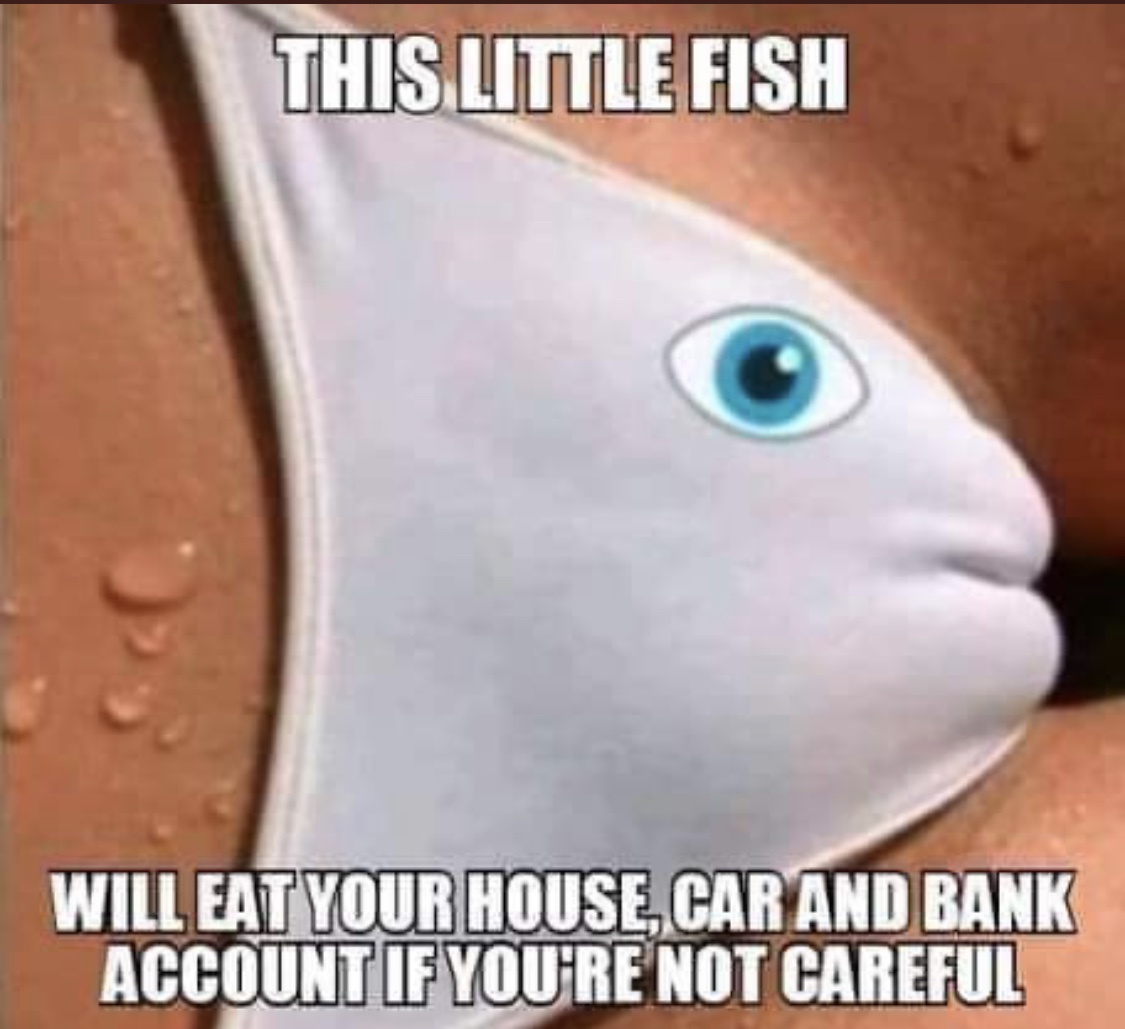 7E25A0E4-3C49-4493-95E8-5E3F45E69499.jpeg