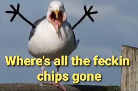 8C0A0BAD-684B-41E8-9984-A452D0B4F231.jpeg