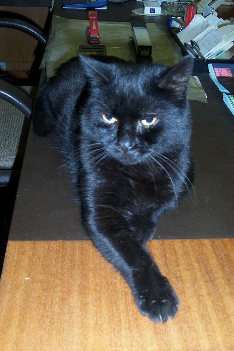 9-3-04 SLINKY.JPG