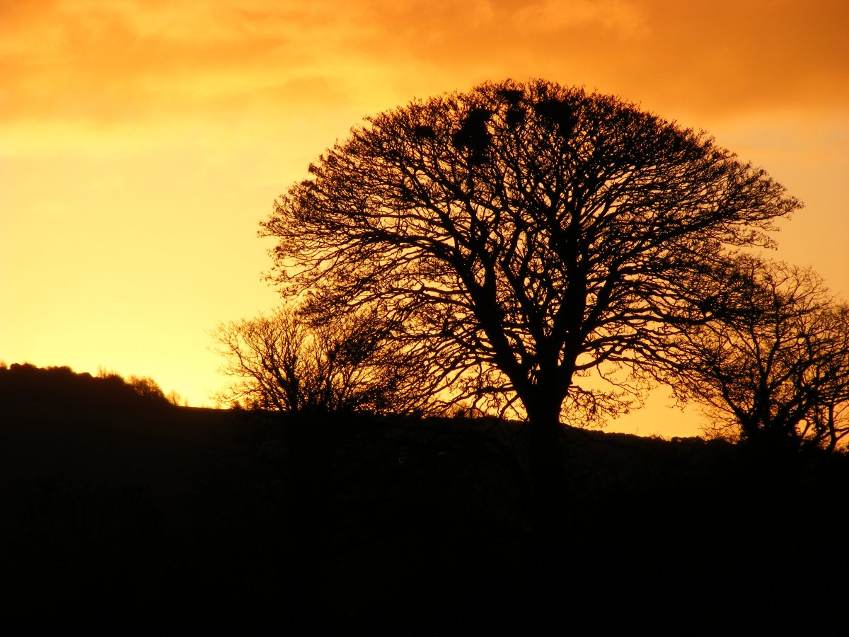 annagh Sunrise (49).JPG