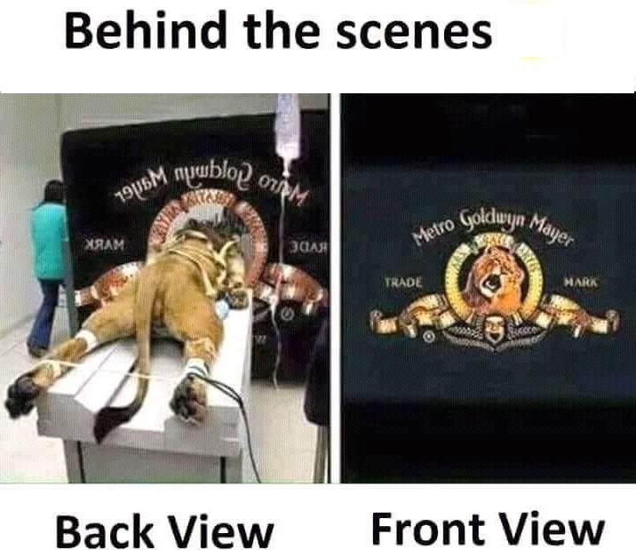 behind the scenes.jpg