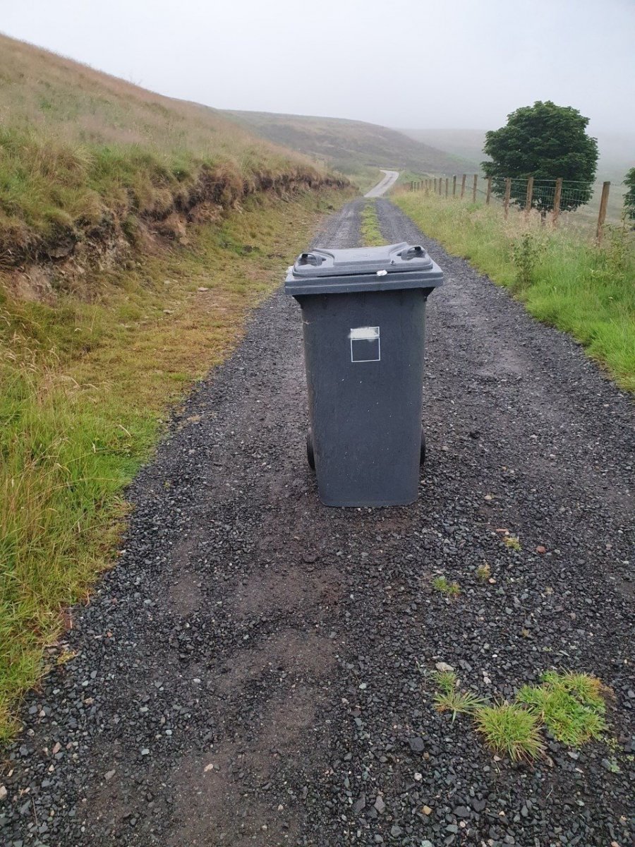 Bin.jpg