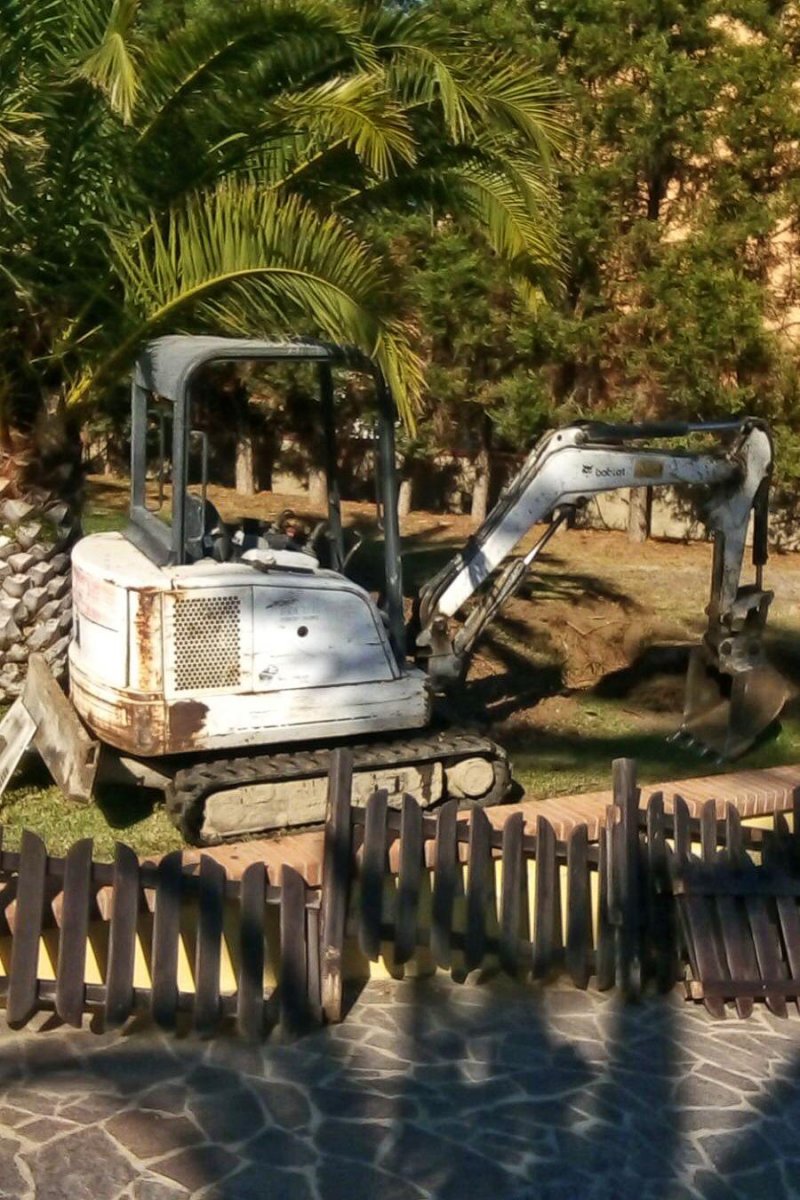 bobcat.jpg