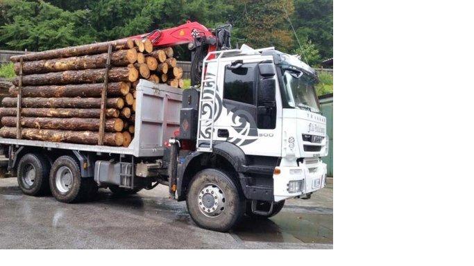 camion.jpg