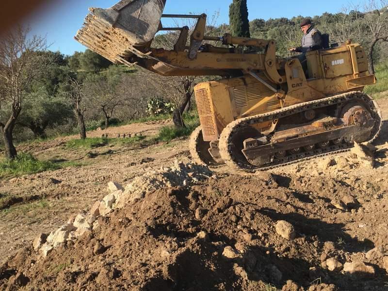 cat 951.jpg