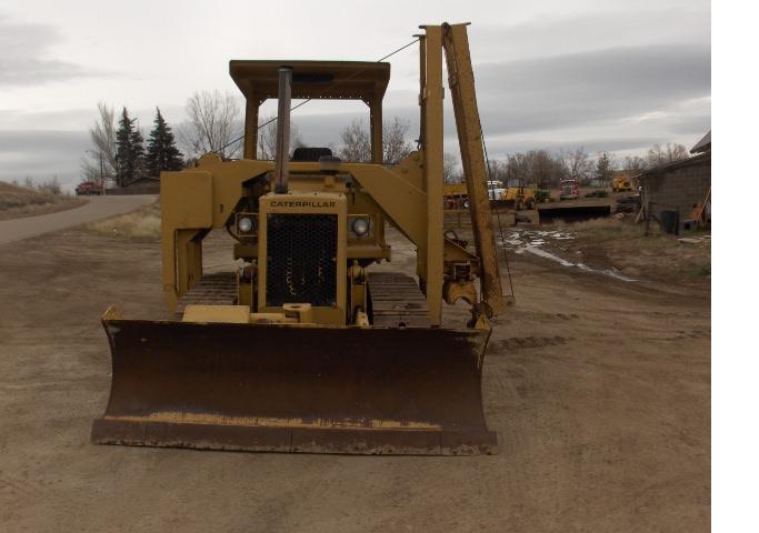 cat d 3.jpg