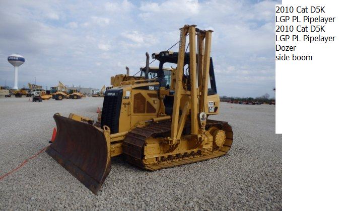 cat d5.jpg
