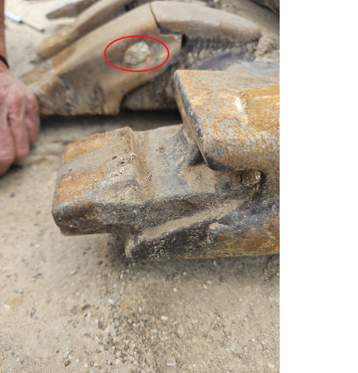 combi tooth2.png