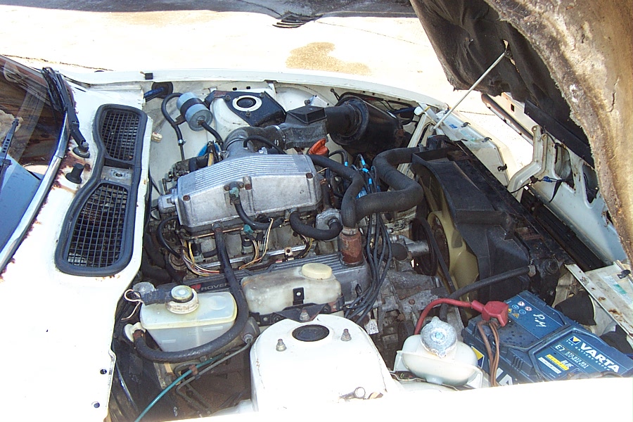 DCP_3377.JPG
