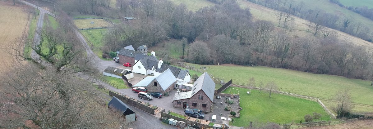 DJI_0126.JPG crop.JPG
