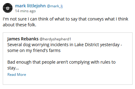 dogs.PNG