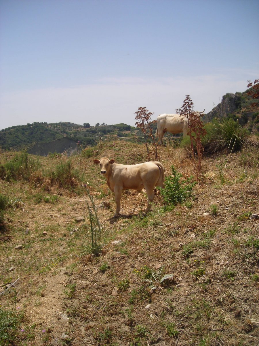 DSCN2428.JPG