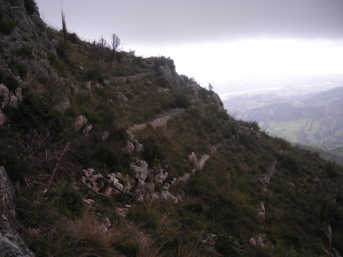 DSCN2553.JPG